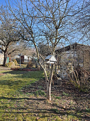 Garten im Februar