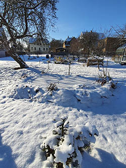 Gartenteich im Winter